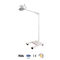 Adjustable Height Portable Examination Lamps With 4 Wheels FDA Approved