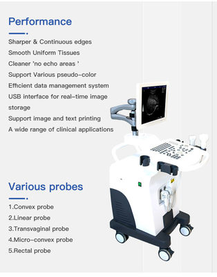 4 Probe Trolley 4D Color Doppler Ultrasound Scanner