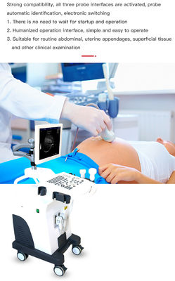 4 Probe Trolley 4D Color Doppler Ultrasound Scanner