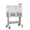 Neonate Bilirubin Hospital Infant Radiant Warmer