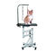 838E-REC Hydraulic Pet Grooming Table Adjustable Dog Pet Grooming Table Top